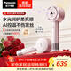 松下（Panasonic）花芯電吹風(fēng)家用高速護發(fā)吹風(fēng)機納諾怡水光離子送女友生日禮物芍藥粉EH-JNW6A