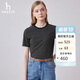 哈吉斯（HAZZYS）女裝 春季女士圓領(lǐng)文藝細條紋T恤衫ASTSE0BBE68
