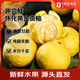 趣嘗鮮湖南懷化黃金貢柚 凈重5斤 單果170g+ 時(shí)令生鮮 源頭直發(fā)