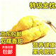 泰國金枕頭榴蓮肉新鮮包郵冷凍速凍果肉進(jìn)口樹(shù)熟速凍A級水果商用 【香甜可口】A級金枕榴蓮果肉500g*1