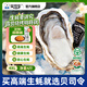 貝司令鮮活乳山生態(tài)生蠔4XL 凈重4斤 8-11只 生鮮源頭直發(fā)露營(yíng)聚會(huì )