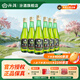 汾酒【廠(chǎng)方運營(yíng)】山西杏花村 45度玻竹 475ml*6 竹葉青酒 6瓶裝 露酒 45%vol 475mL 6瓶