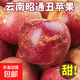 丑蘋(píng)果新鮮云南昭通蘋(píng)果生鮮水果蘋(píng)果冰糖心富士當季中秋水果禮盒 9斤出口級果【蕞劃算】80-90mm