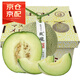 京鮮臻攸玫瓏蜜瓜 冰淇淋網(wǎng)紋甜瓜日本引進(jìn)品種靜岡網(wǎng)紋蜜瓜整箱禮盒 精選2枚【無(wú)禮盒】