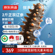 京東京造 鮮來(lái)多大連有機鮮食海參1kg 16-20只 固形物75%冷凍即食海參禮盒