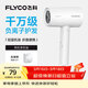 飛科（FLYCO）負離子電吹風(fēng)機家用便攜出游速干冷熱風(fēng)大功率吹風(fēng)筒FH6276