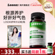 losoki美國護養肝片水飛奶薊草養肝護肝男女保健熬夜喝酒護肝膠囊 奶薊草護肝片60粒/盒