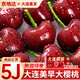 京地達大連美早櫻桃國產(chǎn)車(chē)厘子5J級水果禮2.8斤新鮮送禮源頭直發(fā)