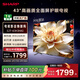 SHARP夏普經(jīng)濟款 京東聯(lián)名款OS開(kāi)機無(wú)廣告 43英寸健康護眼 全高清金屬全面屏電視 一級能效 2T-C43H3HA