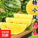 【冰淇淋西瓜】超甜特小鳳西瓜皮薄清甜多汁黃心黃肉網(wǎng)紅時(shí)令水果 特小鳳帶箱3-4斤（1-2個(gè)）凈重3斤+