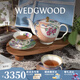 Wedgwood花間舞蝶咖啡具套裝骨瓷下午茶壺杯碟新婚禮奢禮速達 花間舞蝶1壺2杯2碟
