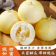 【包郵到家】頭茬小蜜蜂甜瓜早甜脆香瓜新鮮水果產(chǎn)地直發(fā)hyq 凈重5斤大果【單果300g+】
