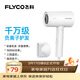 飛科（FLYCO）電吹風(fēng)機負離子家用大功率不傷發(fā)吹風(fēng)筒宿舍學(xué)生便攜可折疊 【1800W可折疊】奶白色
