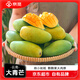 京覓云南大青芒 4.5斤 單果400g+ 新鮮水果生鮮熱帶芒果 源頭直發(fā)
