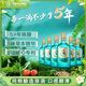 毛鋪草本酒苦蕎酒[新品]綠蕎純糧白酒基酒5年以上陶缸陳釀 綠瓶口糧酒 42度 520mL 6瓶 毛鋪草本酒-整箱