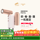 追覓P10 Pro便攜折疊迷你高速口袋造型師吹風(fēng)機負離子護發(fā)速干發(fā)出差 澳白玫瑰AHD52  送禮禮物