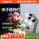 三思植物補光燈仿太陽(yáng)全光譜 全光譜植物燈 盆栽花卉-30W三頭分區補光