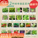 壽禾20種陽(yáng)臺蔬菜種子套餐大全四季種植冬春季韭菜番茄黃瓜水果種籽 22種蔬菜種子套餐