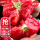 大禹普羅旺斯西紅柿種子番茄苗帶土秧苗老品種沙瓤大粉番茄農科院壽光 普羅旺斯西紅柿種子 20粒老品種