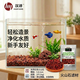 漢洋（HANYANG）魚(yú)缸濾材水族箱底砂龜多肉裝飾造景擺件增色降酸水質(zhì)火山石巖2斤