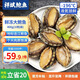 祥斌鮮凍大鮑魚(yú) 凈重400g(10粒)袋裝 火鍋燒烤紅燒煲湯食材 海鮮水產(chǎn)