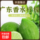 廣東香水檸檬新鮮檸檬茶生鮮鮮檸奶茶店專(zhuān)用檸檬水果箱裝包郵 手選果--單果50g+ 9斤