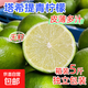 無(wú)籽青檸檬薄皮塔希提新鮮現摘青檸檬薄皮奶茶店專(zhuān)用整箱裝 塔希提單果50g+ 凈重3斤