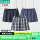 AB男【3條】純棉寬松透氣簡(jiǎn)約格子短褲沙灘褲舒適男家居褲阿羅褲 混色【3條】 2XL
