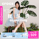 卡駱馳（CROCS）白鹿同款經(jīng)典云朵花簇洞洞鞋百搭輕便休閑鞋沙灘鞋|213119 亮粉-685 36 /37(230mm)