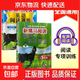 2026新版 一二三四五六年級新黑馬閱讀現代文古詩(shī)文課外閱讀英語(yǔ)閱讀訓練英語(yǔ)聽(tīng)力訓練一二三四五六年級語(yǔ)文英語(yǔ)閱讀理解專(zhuān)項訓練 現代+英語(yǔ)閱讀-5年級 小學(xué)通用