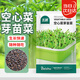 北蔬 芽苗菜種子苗空心菜無(wú)土水培盆栽蔬菜種籽 空心菜芽苗菜種子200g