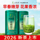 一杯香茶葉綠茶明前早春碧螺春250g2026新茶禮盒裝送禮自己喝散裝茗茶