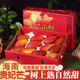 京地達芒果海南貴妃芒水果禮盒樹(shù)上熟凈重4斤單果100g+熱帶源頭直發(fā)包郵