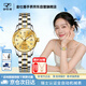 金仕盾（JIN SHI DUN）瑞士認證品牌手表女士新款全自動(dòng)機械表女款高檔氣質(zhì)腕表生日送禮