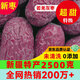 天空市新疆灰棗2025年正宗特產(chǎn)級若羌紅棗新貨未清洗原生態(tài)吊干大棗5斤