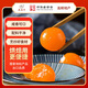 秦郵牌高郵咸鴨蛋黃生20枚約200g 烘焙原料 企業(yè)團購 中華老字號