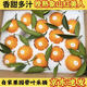 象山黃紅美人[京東速發(fā)]正宗愛(ài)媛號柑橘當季新鮮孕婦水果凍橙禮盒 帶葉5斤禮箱13~15個(gè) 現摘京東速發(fā)