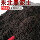 BEYZK盆栽養花黑泥土土壤種花種菜育苗通用土純泥土純天然腐殖土營(yíng)養土 5斤原生態(tài)黑泥土【到手4.6斤】