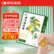 同仁堂御醫匠 艾草膝蓋貼 養生艾灸貼膝蓋關(guān)節 艾草貼 12貼/盒 