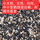 若宸智慧農(nóng)業(yè)養(yǎng)殖場(chǎng)專用中小型鳥(niǎo)糧虎皮玄鳳和尚小太陽(yáng)牡丹鸚鵡鳥(niǎo)糧 小太陽(yáng)鸚鵡和尚鸚鵡種子糧 480g