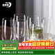 青蘋(píng)果水晶玻璃玻璃杯525ml六只裝 高款果汁杯牛奶杯啤酒杯茶水杯 