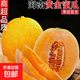 現摘海南黃金蜜瓜哈密瓜新鮮整箱當季水果網(wǎng)紋瓜黃河蜜瓜脆甜香瓜 嚴選黃金蜜瓜帶箱3-4斤【凈重2.5斤-3斤】
