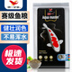 統一魚(yú)食 錦鯉魚(yú)飼料 增體魚(yú)糧增色不渾水錦鯉魚(yú)糧 育成色揚胚芽 10kg【主食】L大粒/7.5mm