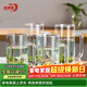 青蘋(píng)果帶把水杯茶杯 扎啤杯啤酒杯 無(wú)鉛玻璃杯可樂(lè )杯飲料杯4只裝320ml