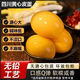 洑記黃心松花皮蛋無(wú)鉛四川黃心鴨蛋糖心新鮮心灰工藝包蛋整箱正宗特產(chǎn) 家鄉味道【20年傳統手工黃沁皮蛋】【麻鴨蛋】 【特大蛋】【單枚帶灰60-75克】【4枚】【試吃裝】