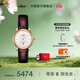 天梭（TISSOT）官旗 瑞士手表卡森臻我系列自動(dòng)機械女士腕表送女友禮物 銀盤(pán)棕帶 T122.207.36.031.00