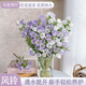 與花同行風(fēng)鈴鮮花真花直發(fā)清新云南插花水養基地水培鮮切花520花束送女友 1扎【45-55個(gè)花苞】隨機色風(fēng)鈴