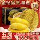 阿嬤森果泰國甲侖榴蓮【JD/順豐速運-可送貨上門(mén)】支持包五房鮮果整個(gè)水果 新鮮榴蓮丨香甜軟糯 4-5斤精挑中大果【包4-5房】