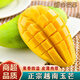 桃西村越南青玉芒果 生熟兩吃當季大青皮黃皮大芒果新鮮熱帶水果整箱 2斤 精選特大果【單果280g+】試吃