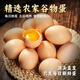 耕果妙新鮮谷物雞蛋30枚3斤精選鮮雞蛋 珍珠棉包裝 源頭直發(fā) 包郵
